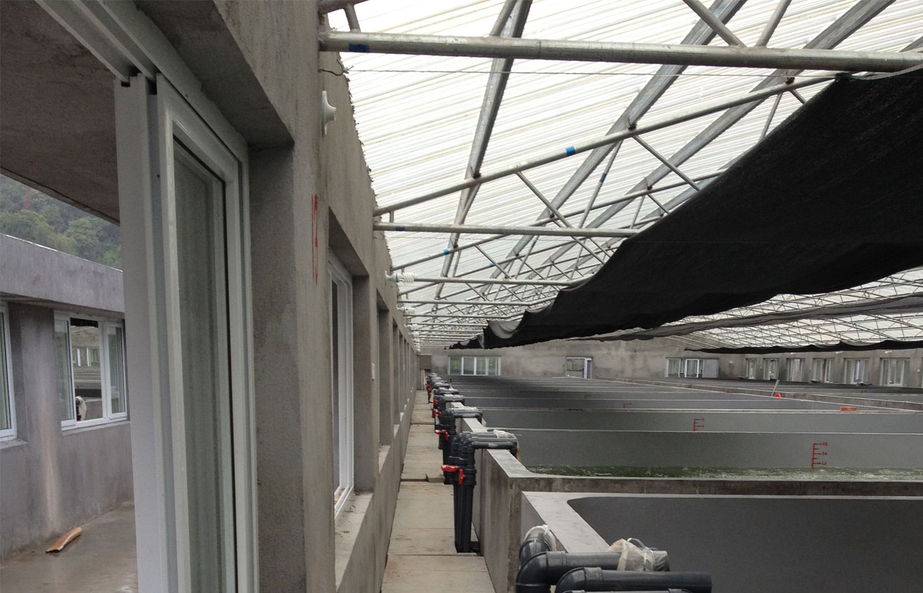 三门绿雄苗场PVC管道建设工程